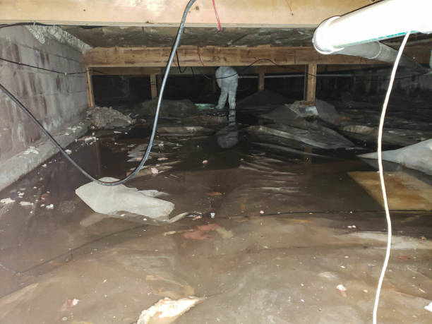 Trusted Bethel Island, CA Water damage restoration Experts